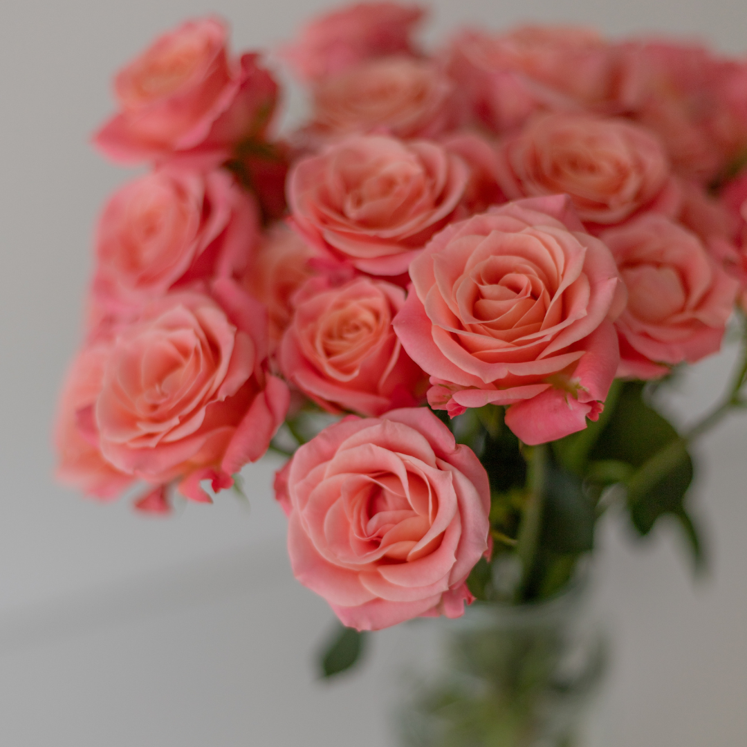 【ALEXIASTAM】トップスPeach Rose Shell ピンク花柄 ALEXIASTAM】トップスPeach Rose Shell ピンク花柄 - メルカリ